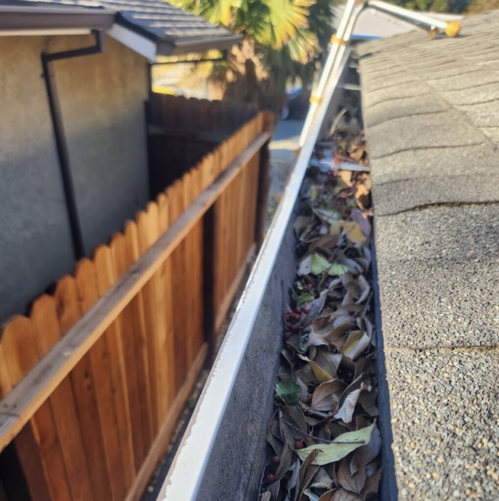 Gutter Cleaning Services