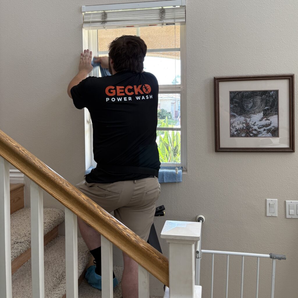 Window Cleaner Jason