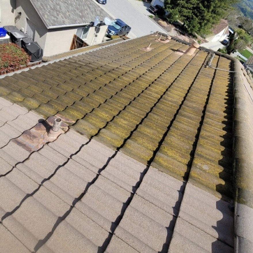 Roof Cleaning
